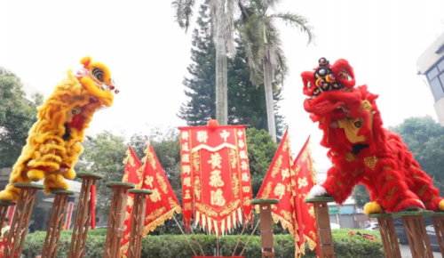 龙腾狮跃，，，共铸绚烂未来！